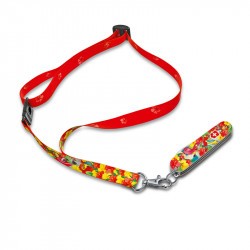 Couteau suisse enfant Victorinox perroquet et lacet