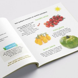 Kit d'activités - Semis tomate - Botaki - botaguide
