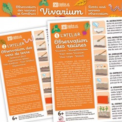 Vivarium vers de terre - Radis et Capucine