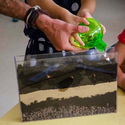 Radis et Capucine Vivarium racines et vers de terre