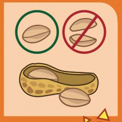 Cacahuètes à faire pousser - Radis et Capucine notice