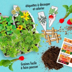 Radis et Capucine - Atelier mini potager