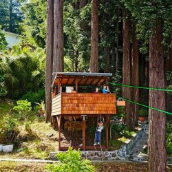 Poulie et cable mini-tyrolienne - Huckleberry - cabane