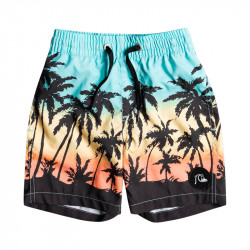 Short de Bain Bleu Homme Quiksilver SubTrop | Espace des Marques