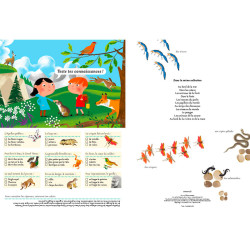 cahier nature enfant animaux de la montagne