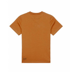 T-shirt garçon Pittack - Picture Organic Clothing - Nutz