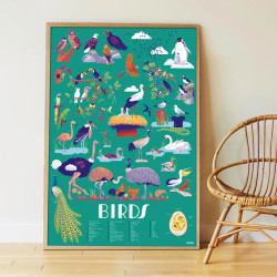 Poster Discovery Poppik et 45 stickers - Les Oiseaux - cadre