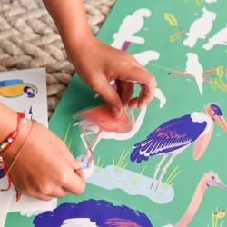 Poster Discovery Poppik et 45 stickers - Les Oiseaux - détails