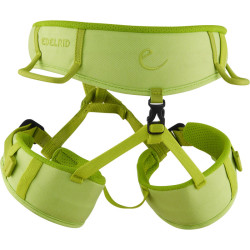 Baudrier escalade enfant - Edelrid Finn dos