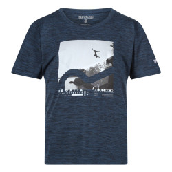 Tee-shirt respirant Alvarado - Regatta