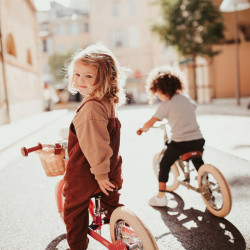 Draisienne Trybike - Rouge