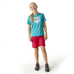 Tee-shirt respirant Alvarado - Regatta -