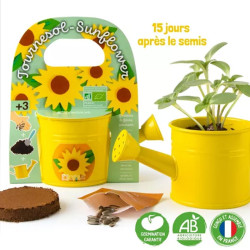 Mini arrosoir avec graines de Tournesol -