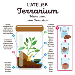 Terrarium de la savane Radis et Capucine