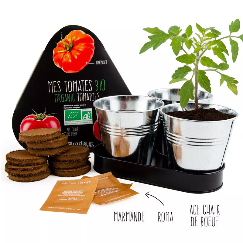 Trio de tomates Radis et Capucine