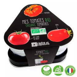 Trio de tomates Radis et Capucine