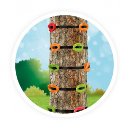 Prises d'escalade pour grimper aux arbres - Buki