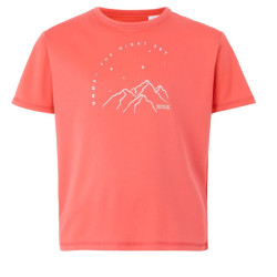 Tee-shirt respirant Alvarado IX - Regatta - Tee-shirt respirant Alvarado IX - Regatta - Peach Bloom