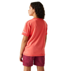Tee-shirt respirant Alvarado IX - Regatta - Tee-shirt respirant Alvarado IX - Regatta