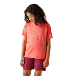 Tee-shirt respirant Alvarado IX - Regatta - Tee-shirt respirant Alvarado IX - Regatta
