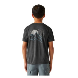 Alvarado IX - Regatta -