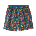 Baby Baggies Shorts Patagonia - Lagom Blue