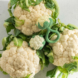 Chou fleur - Oli and Carol