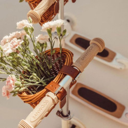 Trottinette Banwood