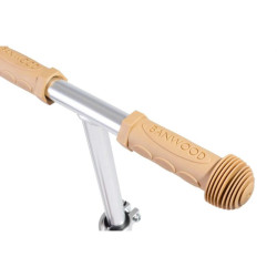 Trottinette Banwood