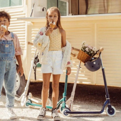 Trottinette Banwood 2 roues