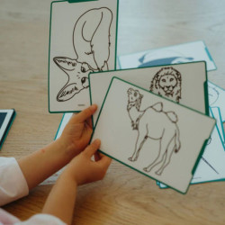 Tablette à dessin Kidydraw Mini  Kidywolf