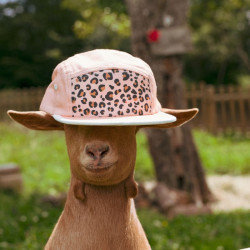 Casquette enfant five panel