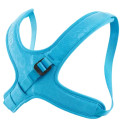 Harnais torse enfant - Edelrid Kermit - Icemint