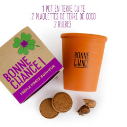 Trèfle à quatre feuilles - élément du Kit message « Bonne chance » - Radis et Capucine