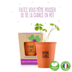Trèfle à quatre feuilles - Kit message « Bonne chance » - Radis et Capucine avec trèfle