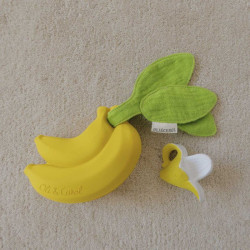 gros plan de Boîte de rangement pour sucette - Oli et Carol - Ana Banana