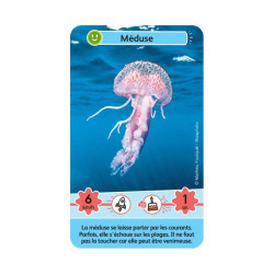 Défis Nature Junior - Merveilles de la Mer - Bioviva - zoom