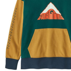 Sweat enfant Patagonia - K's LW Crew Driftways : Cascade Green