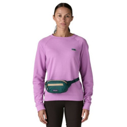 Terravia Mini Hip Pack - Patagonia - Green