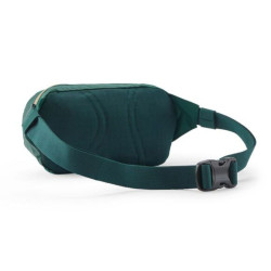 Terravia Mini Hip Pack - Patagonia - Cascade Green dos