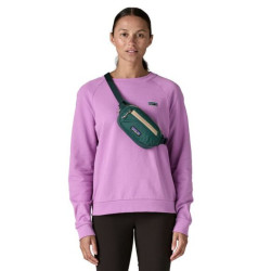 Terravia  Hip Pack - Patagonia - Cascade Green