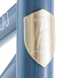 Draisienne Banwood First GO - Bleu logo