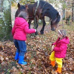 Waders de coffre de pêche avec bottes pour enfants Activités de plein air  Filles garçons Pvc Pantalon de pluie + imperméable Bootfoot B