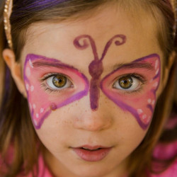 Kit de maquillage 3 couleurs Fée & Papillon