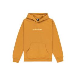 Sweat à capuche enfant Graphique Salt Water - Quiksilver - Amande