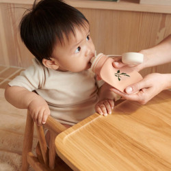 Lot de 2 bouteilles de smoothie Lizzie - Liewood -