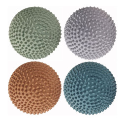 Pierres sensorielles - Hippo