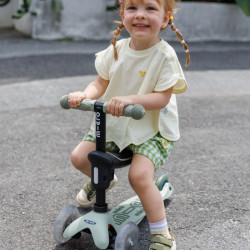 Trottinette Mini Micro Deluxe Rock & Go LED - Micro - Vert Sauge