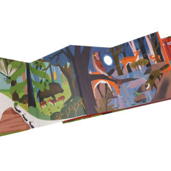 Balade en forêt - Éditions Amaterra