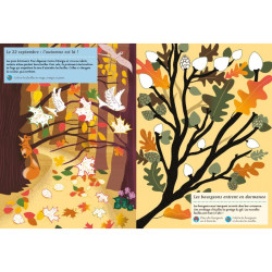 Les quatre saisons - Éditions Amaterra